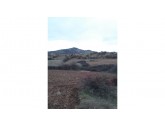 --İNECE-DOKUZHÖYÜK ARASINDA 1.080 M2 ASFALTA 3.PARSEL BAĞ YERİ--