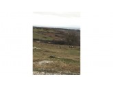 --İNECE-DOKUZHÖYÜK ARASINDA 1.080 M2 ASFALTA 3.PARSEL BAĞ YERİ--