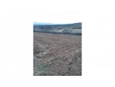 --İNECE-DOKUZHÖYÜK ARASINDA 1.080 M2 ASFALTA 3.PARSEL BAĞ YERİ--