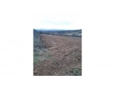 --İNECE-DOKUZHÖYÜK ARASINDA 1.080 M2 ASFALTA 3.PARSEL BAĞ YERİ--