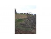 --İNECE-DOKUZHÖYÜK ARASINDA 1.080 M2 ASFALTA 3.PARSEL BAĞ YERİ--